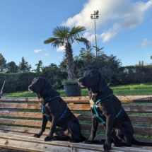 PXL_20241006_145653405